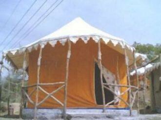 Jungle Camp Site, Kufri 2